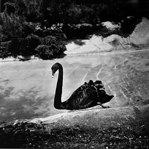 Image description is not available for 2007.075